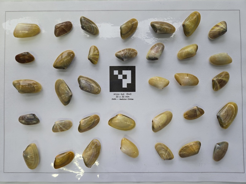 Foto original sin analizar